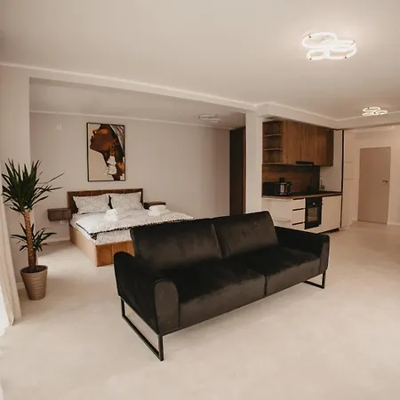 White House Iris Napoca - 1 Appartement Cluj-Napoca