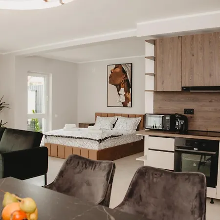 White House Iris Napoca - 1 Appartement Cluj-Napoca