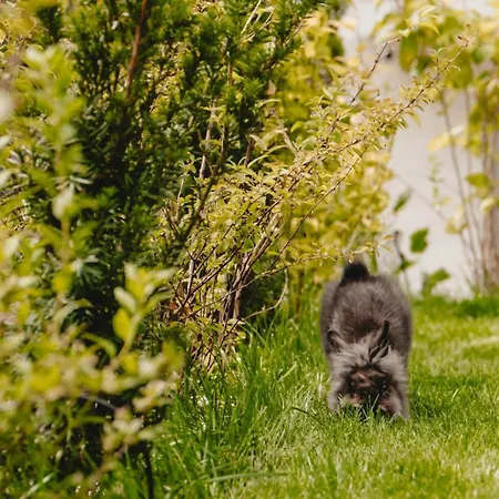 Appartamento White House Iris Napoca - 1- Parcare Gratuita, Self Check In 24h, Aeroport 15 Minute !