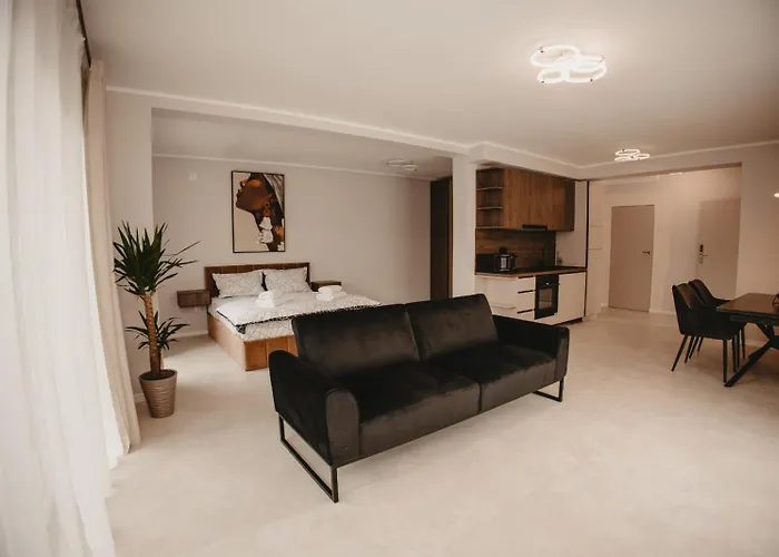 White House Iris Napoca - 1- Parcare Gratuita, Self Check In 24h, Aeroport 15 Minute ! Apartament Kluż-Napoka