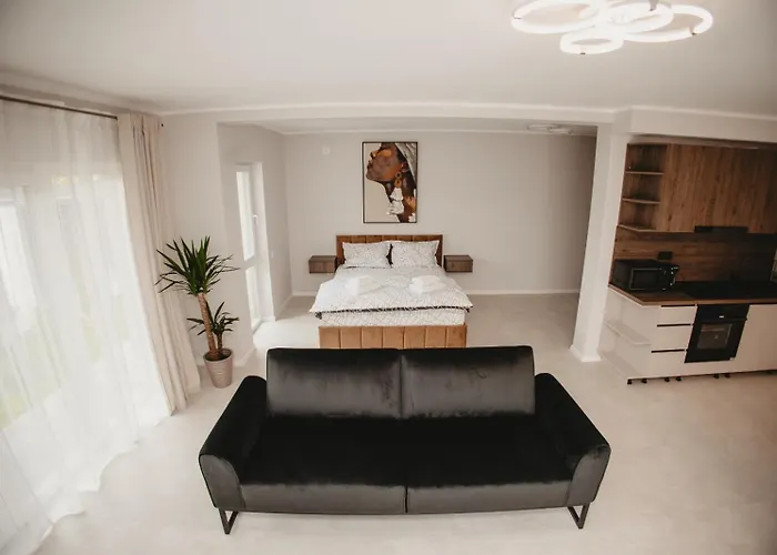 White House Iris Napoca - 1- Parcare Gratuita, Self Check In 24h, Aeroport 15 Minute ! * Kluż-Napoka