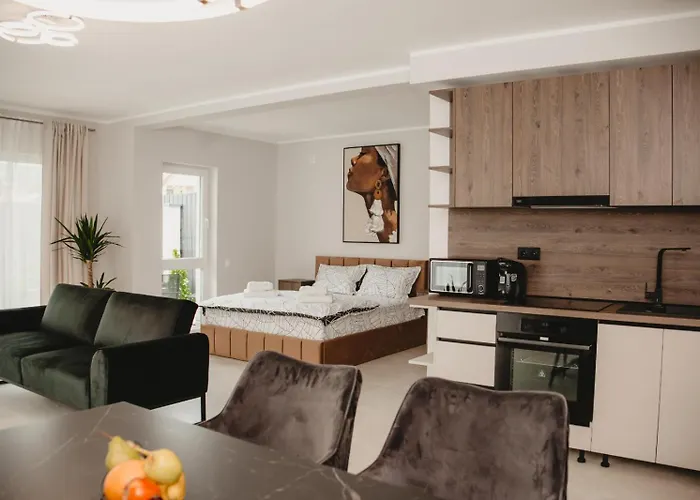 White House Iris Napoca - 1- Parcare Gratuita, Self Check In 24h, Aeroport 15 Minute ! Apartament Kluż-Napoka