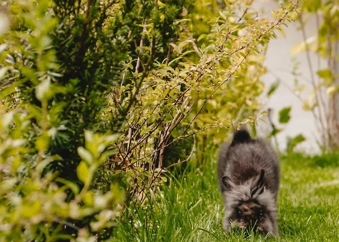 Apartament White House Iris Napoca - 1- Parcare Gratuita, Self Check In 24h, Aeroport 15 Minute !