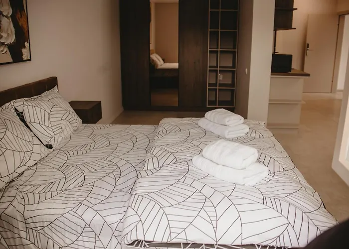 White House Iris Napoca - 1- Parcare Gratuita, Self Check In 24h, Aeroport 15 Minute ! *