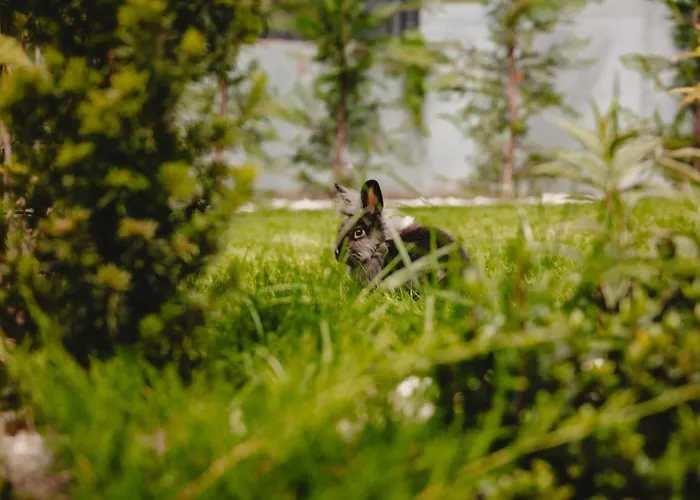 White House Iris Napoca - 1- Parcare Gratuita, Self Check In 24h, Aeroport 15 Minute ! Kluż-Napoka